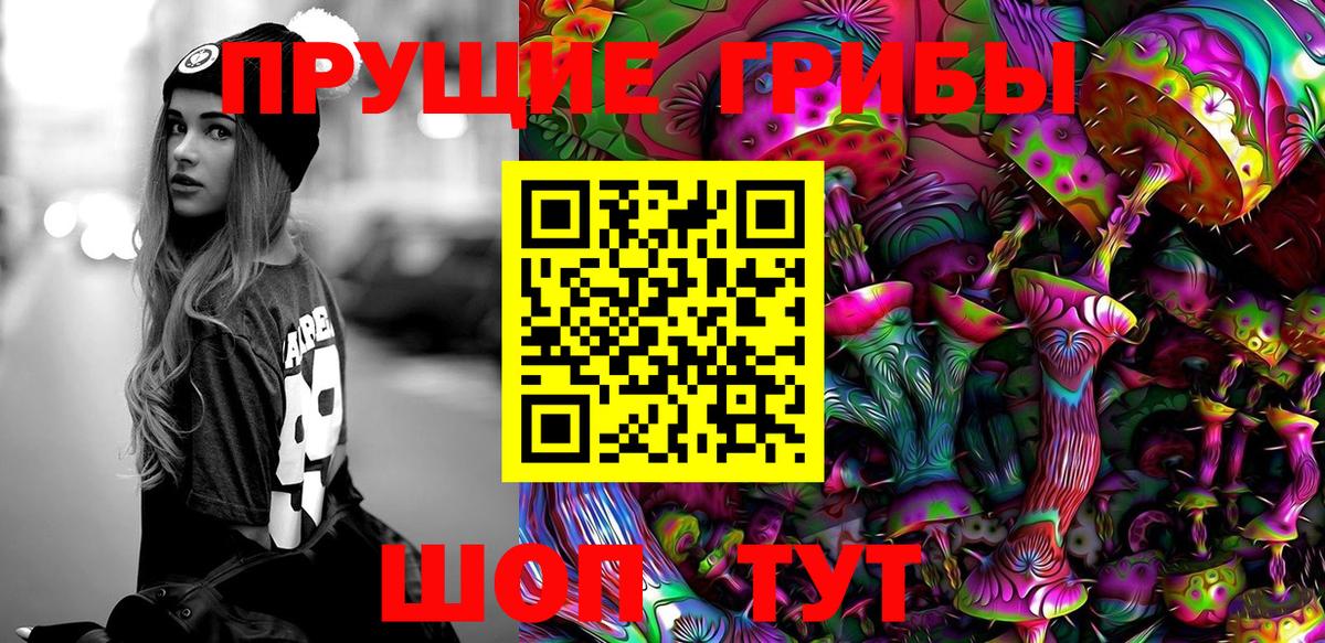 Галлюциногенные грибы Psilocybine cubensis Нефтеюганск