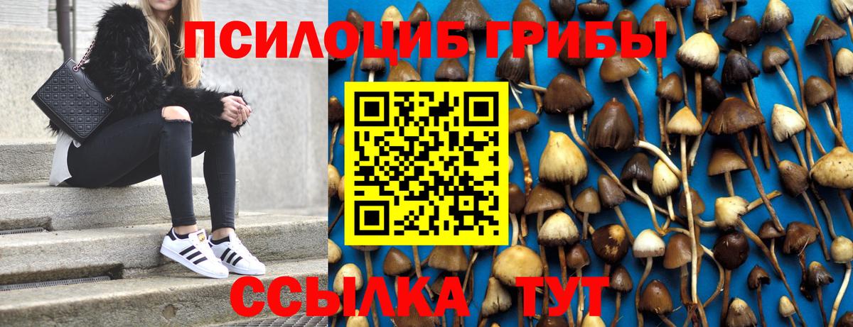 Псилоцибиновые грибы Magic Shrooms  Вход с VPN  Псилоцибиновые грибы MAGIC MUSHROOMS  Нефтеюганск 